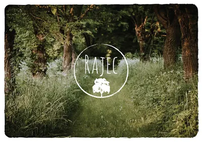 Rajec